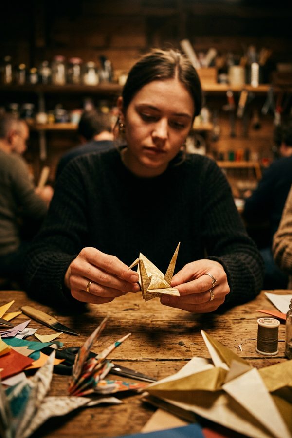 The Paper Fold: A Thriller in Creases